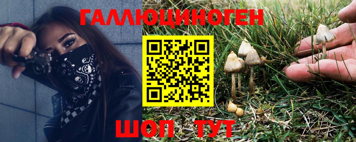 Галлюциногенные грибы Cubensis  Галлюциногенные грибы Psilocybine cubensis  Вход с VPN  Зеленодольск 