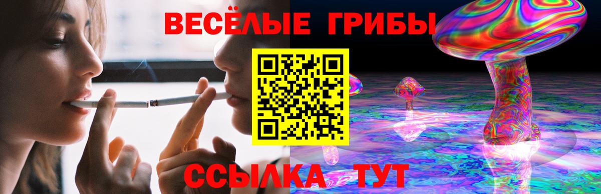 Галлюциногенные грибы мицелий Зеленодольск